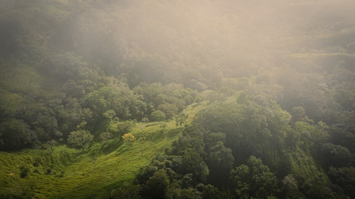Costa Rica landscape
