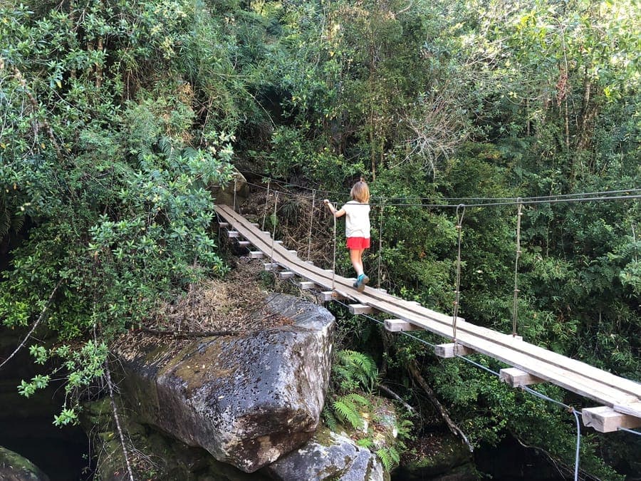 A student crossing a wooden footbridge over a forested Patagonian gorge.